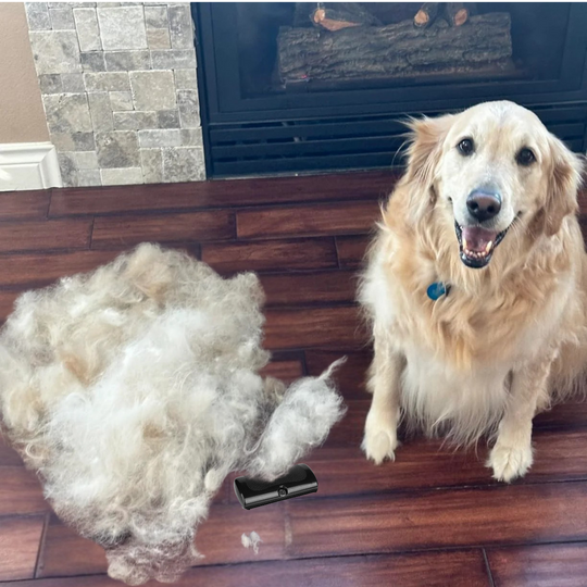 GroomPlus