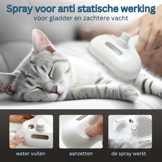 Sprayborstel