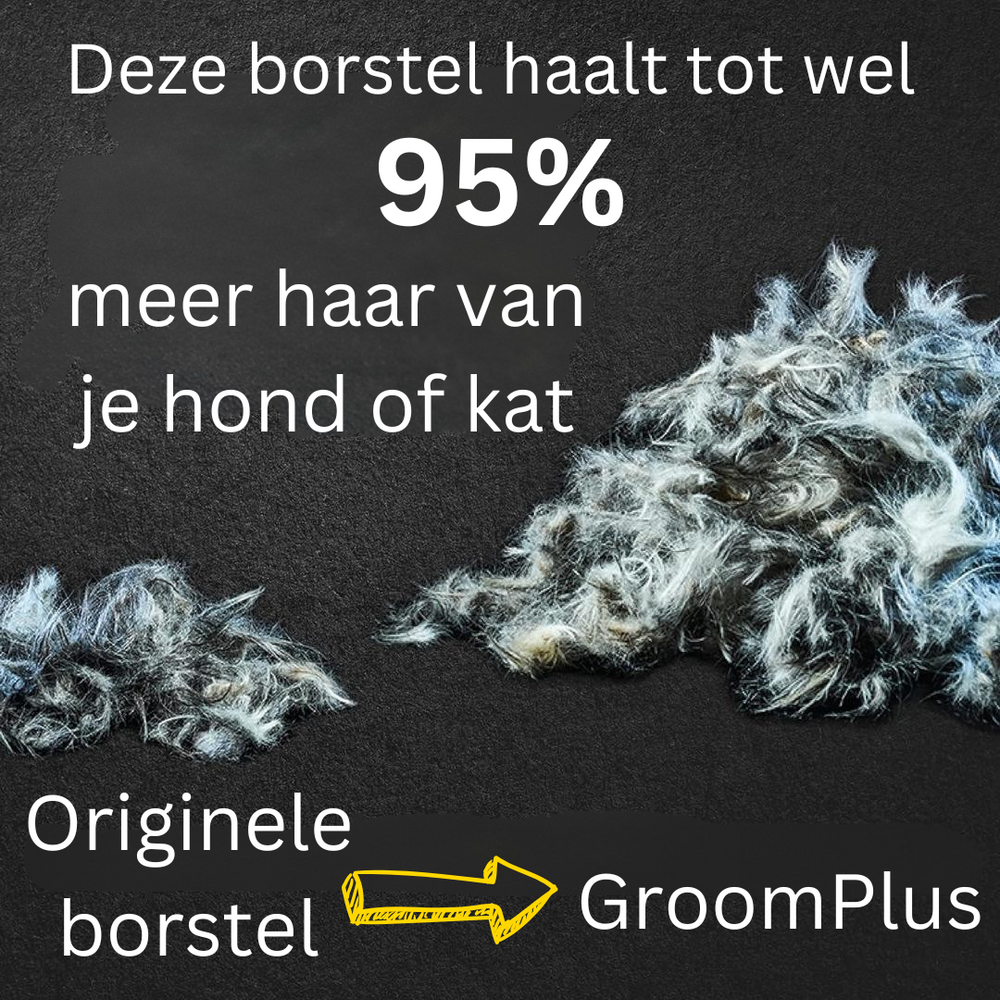 GroomPlus